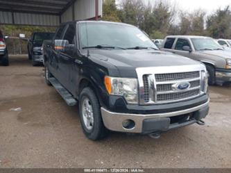 FORD F-150 XLT