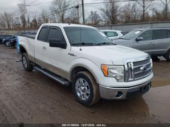 FORD F-150 FX2 SPORT/LARIAT/XL/XLT