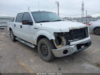 FORD F-150 XLT