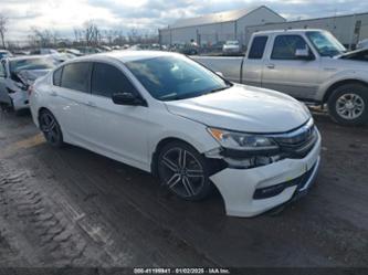 HONDA ACCORD SPORT