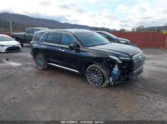 HYUNDAI PALISADE CALLIGRAPHY