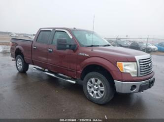 FORD F-150 FX4/HARLEY-DAVIDSON/KING RANCH/LARIAT/PLATINUM/XL/XLT