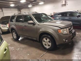 FORD ESCAPE XLT