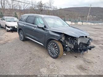 HYUNDAI PALISADE CALLIGRAPHY