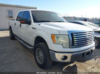 FORD F-150 XLT