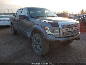 FORD F-150 XLT