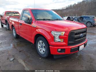 FORD F-150 XL