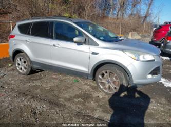 FORD ESCAPE SEL