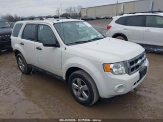 FORD ESCAPE XLT