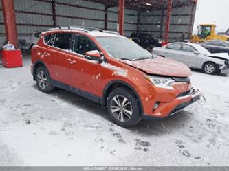 TOYOTA RAV4 XLE