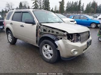 FORD ESCAPE XLT