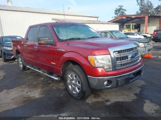 FORD F-150 XLT