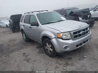 FORD ESCAPE XLT