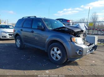 FORD ESCAPE XLT