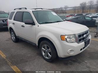 FORD ESCAPE XLT