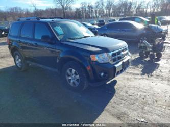 FORD ESCAPE LIMITED