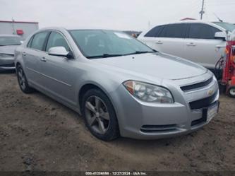 CHEVROLET MALIBU 1LT