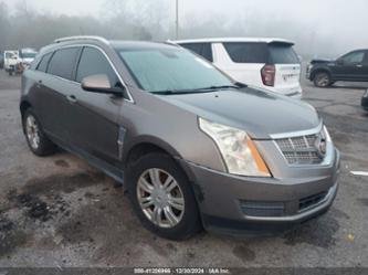 CADILLAC SRX LUXURY COLLECTION