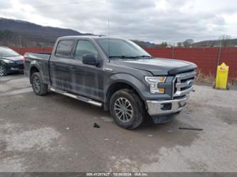 FORD F-150 XLT