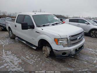 FORD F-150 XLT