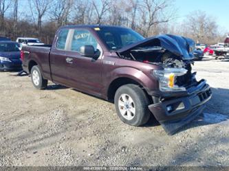 FORD F-150 XL