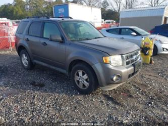 FORD ESCAPE XLT