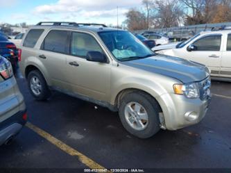 FORD ESCAPE XLT