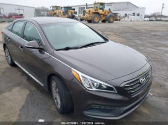 HYUNDAI SONATA SPORT/LIMITED