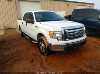 FORD F-150 FX2 SPORT/XL/XLT