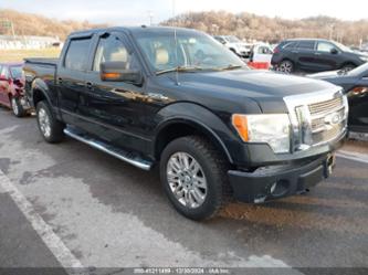 FORD F-150 FX4/HARLEY-DAVIDSON/KING RANCH/LARIAT/PLATINUM/XL/XLT