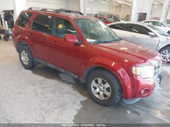 FORD ESCAPE LIMITED