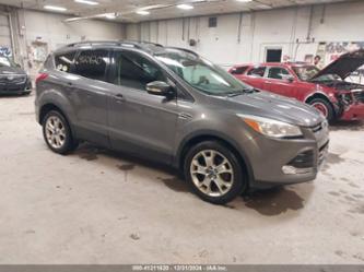 FORD ESCAPE SEL