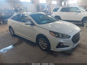 HYUNDAI SONATA ECO