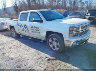 CHEVROLET SILVERADO 1500 1LZ