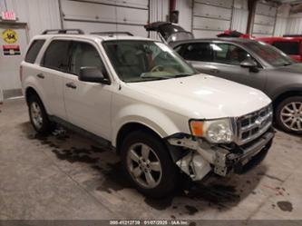 FORD ESCAPE XLT