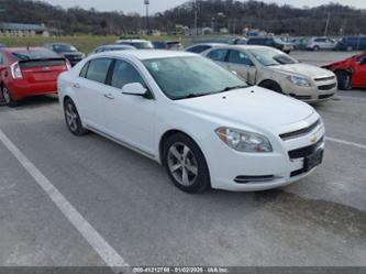 CHEVROLET MALIBU 1LT