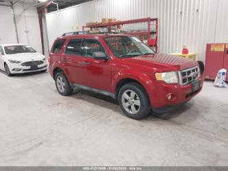 FORD ESCAPE XLT