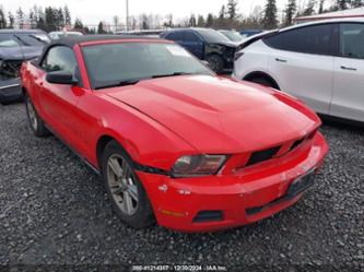 FORD MUSTANG V6