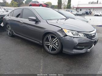 HONDA ACCORD SPORT SE