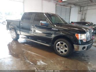 FORD F-150 FX2 SPORT/HARLEY-DAVIDSON/KING RANCH/LARIAT/PLATINUM/XL/XLT