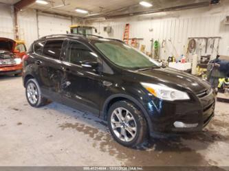 FORD ESCAPE SEL