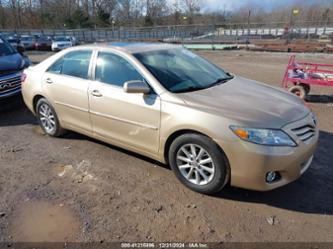 TOYOTA CAMRY XLE V6