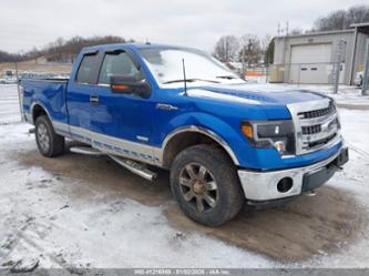 FORD F-150 XLT