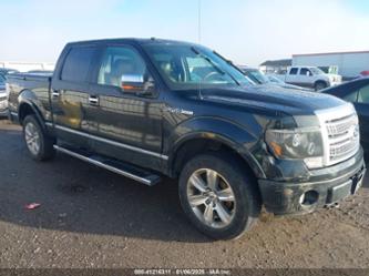 FORD F-150 FX4/HARLEY-DAVIDSON/KING RANCH/LARIAT/PLATINUM/XL/XLT