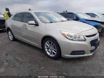 CHEVROLET MALIBU 1LT