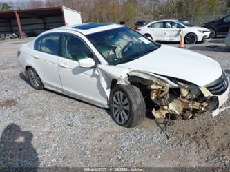 HONDA ACCORD 2.4 EX-L