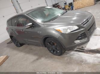 FORD ESCAPE SEL