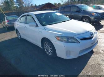 TOYOTA CAMRY HYBRID