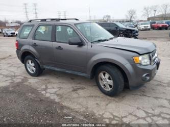 FORD ESCAPE XLS