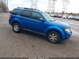 FORD ESCAPE XLT